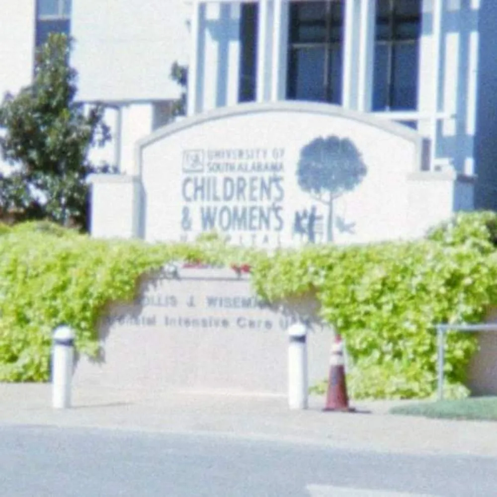 Local lawn mowing service experts serving SEMMES, AL - Pate Construction Services