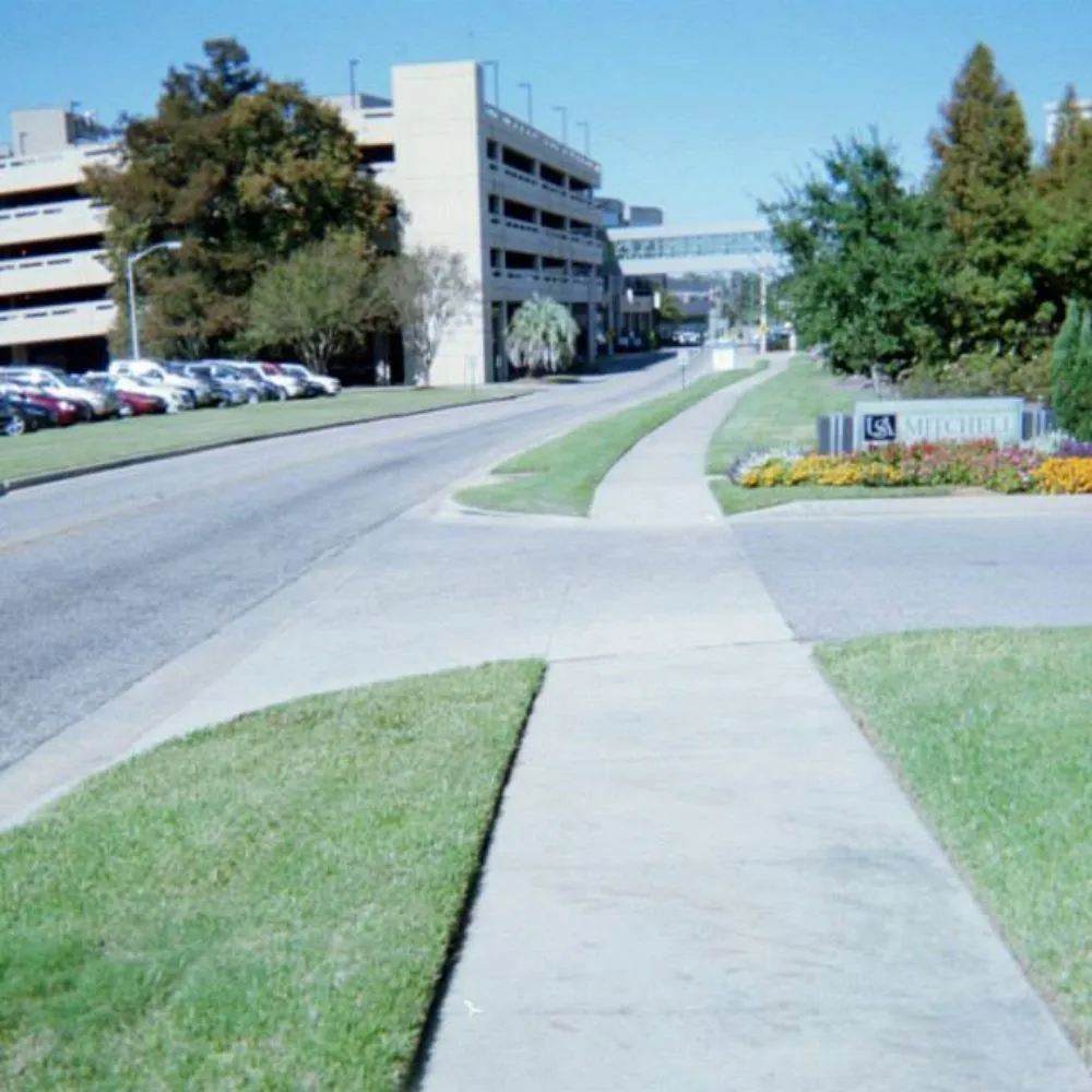 Reliable garden landscaping for year-round maintenance across SEMMES, AL - Pate Construction Services