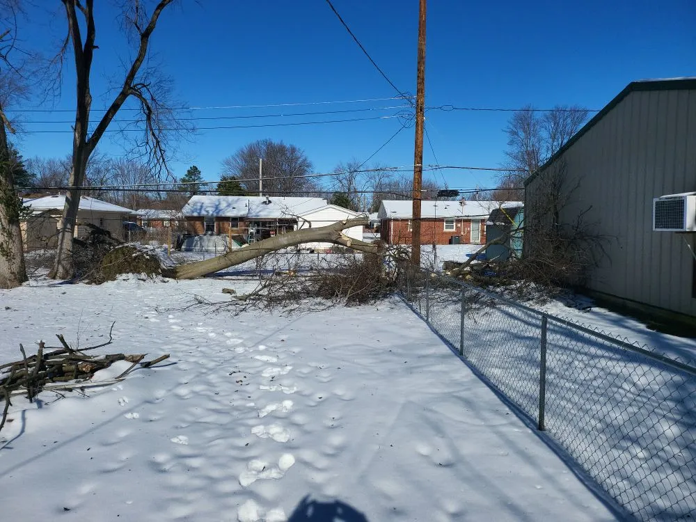 Reliable landscape installation for year-round maintenance in Dale, IN by Pate property preservation