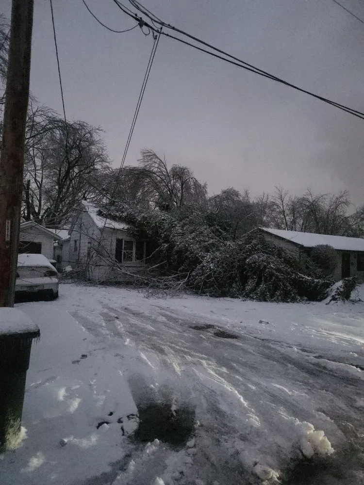 Professional landscaping services in Dale, IN by Pate property preservation