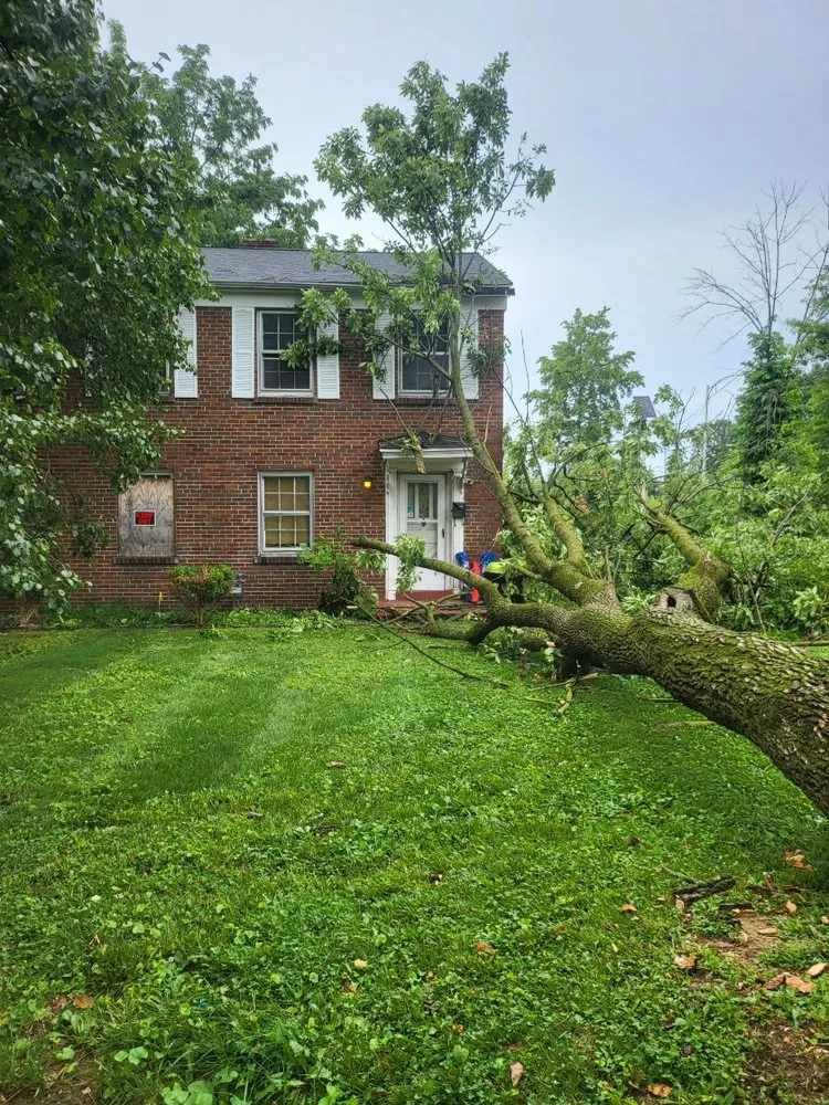 Affordable lawn care service in Dale, IN by Pate property preservation