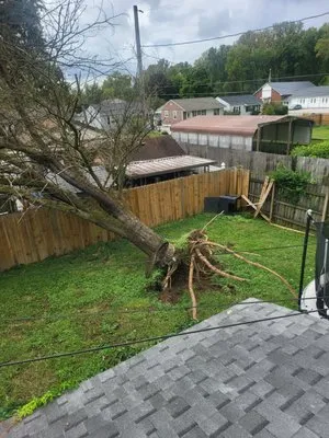 Pate property preservation