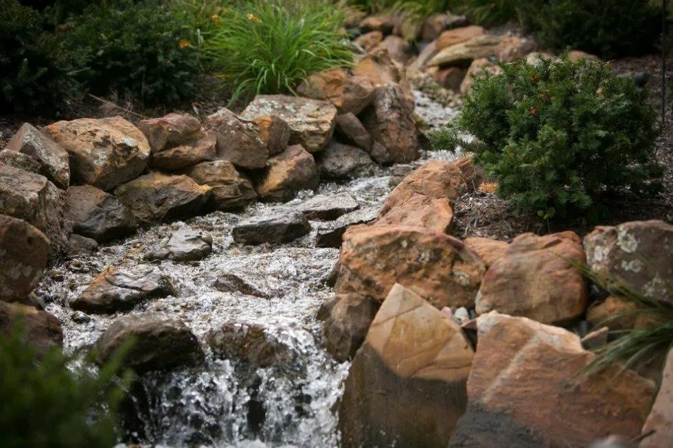 Expert yard maintenance experts serving Omaha, NE - Patera Landscaping