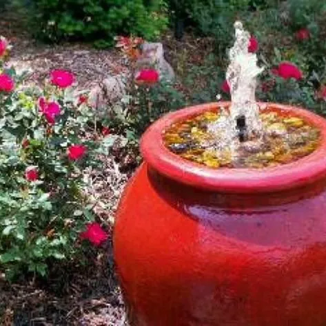 Trusted landscaping services for beautiful yards in Omaha, NE by Patera Landscaping