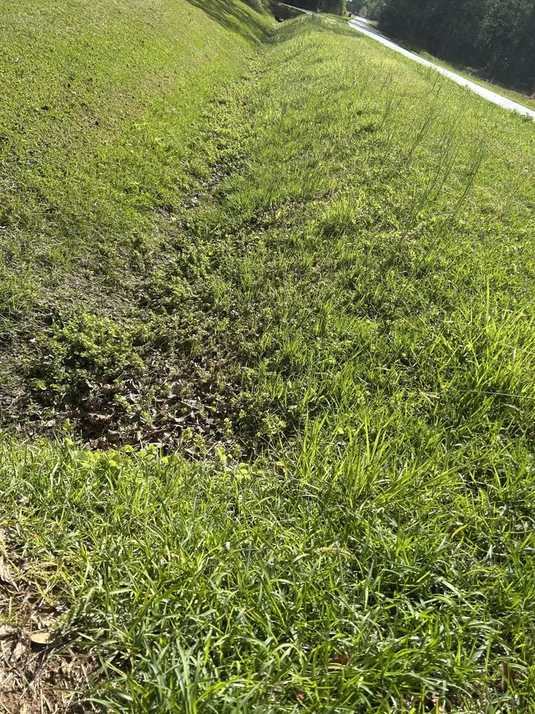 Affordable residential landscaping in Beulaville, NC by Pate’s Power Washing