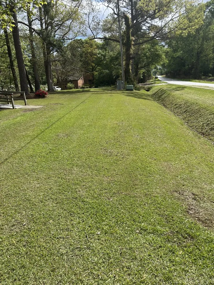 Affordable landscape installation for year-round maintenance across Beulaville, NC - Pate’s Power Washing