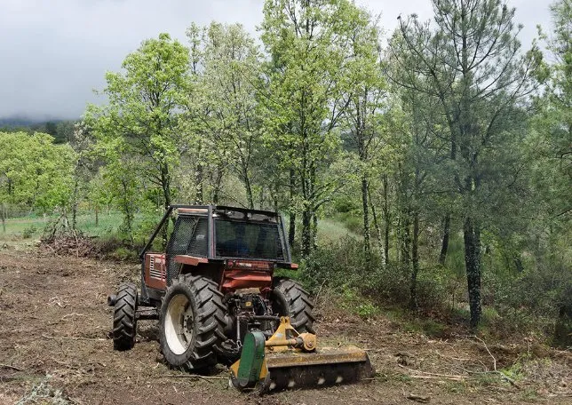 Affordable outdoor landscaping in Williston, FL - Pate’s Property Management & Tree Solutions