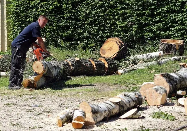 Custom garden landscaping near you across Williston, FL - Pate’s Property Management & Tree Solutions