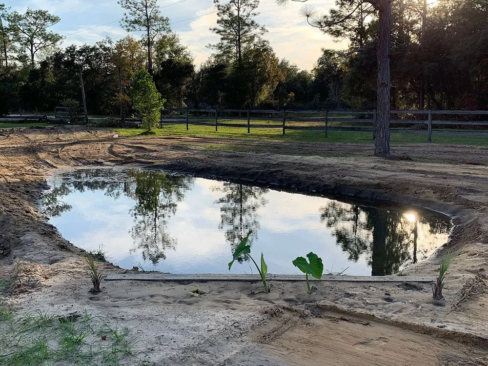 Affordable landscape installation near you in Williston, FL by Pate’s Property Management & Tree Solutions