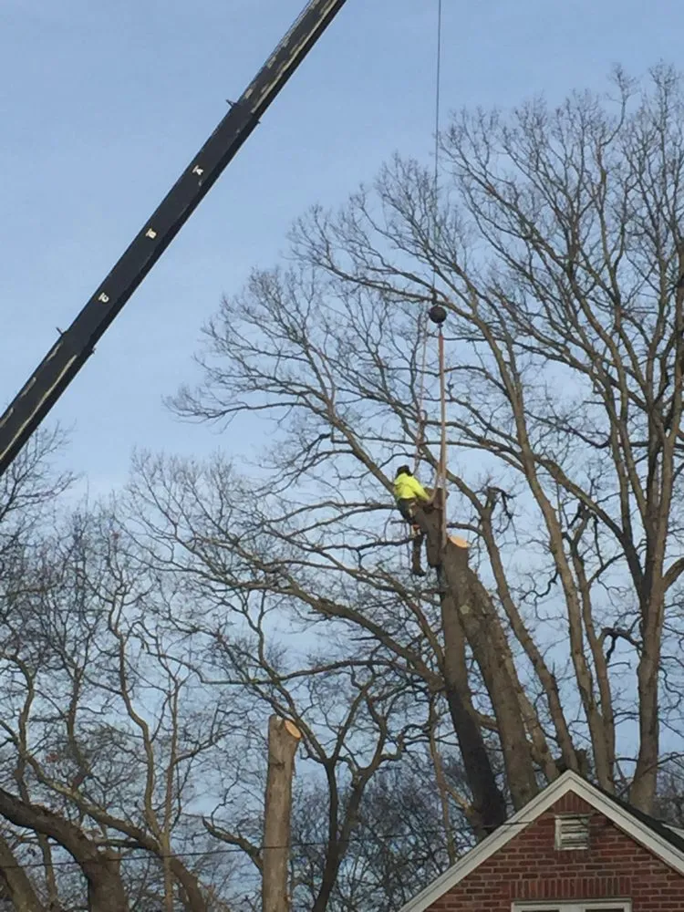 Affordable lawn mowing service in Walpole, MA - Pathfinder Tree Service