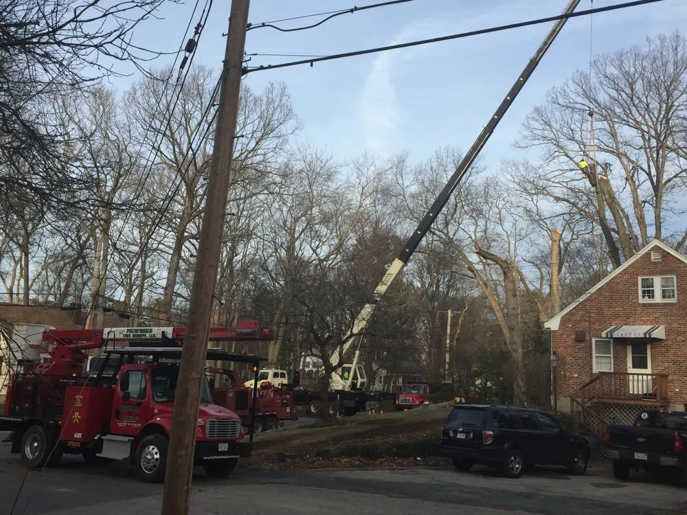 Local outdoor landscaping for homes in Walpole, MA by Pathfinder Tree Service