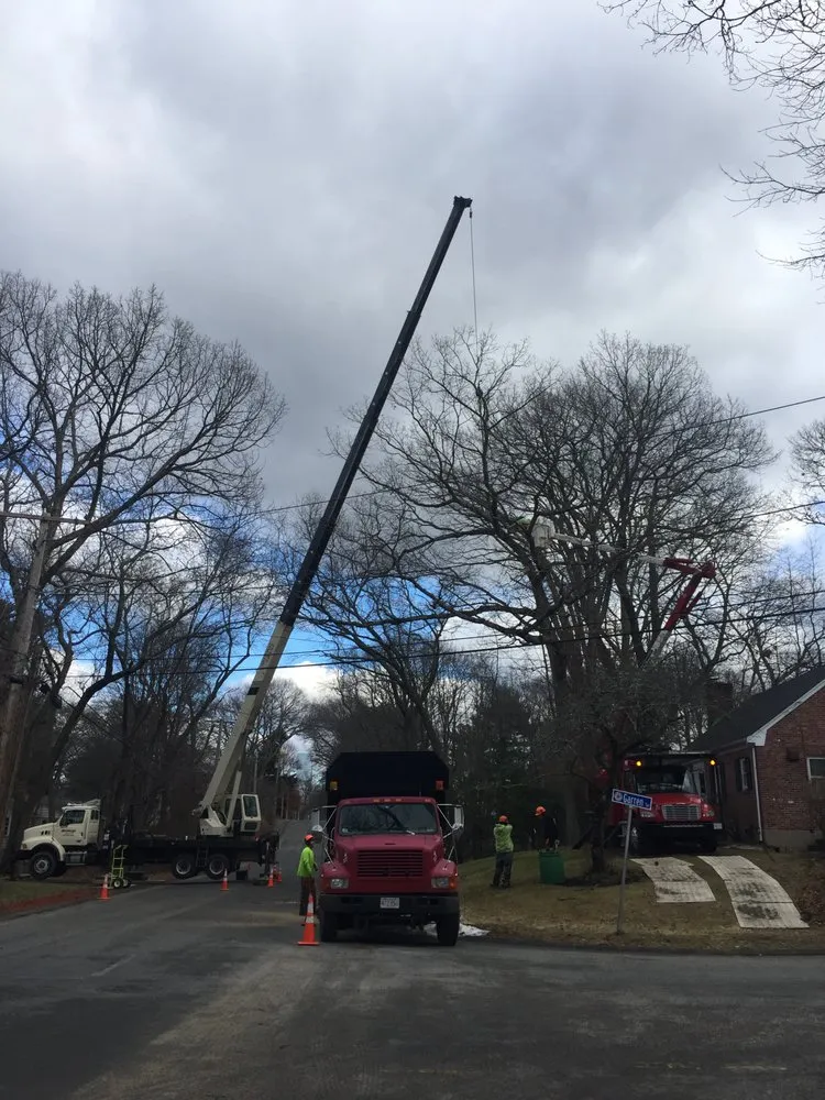 Reliable landscape design experts serving Walpole, MA - Pathfinder Tree Service