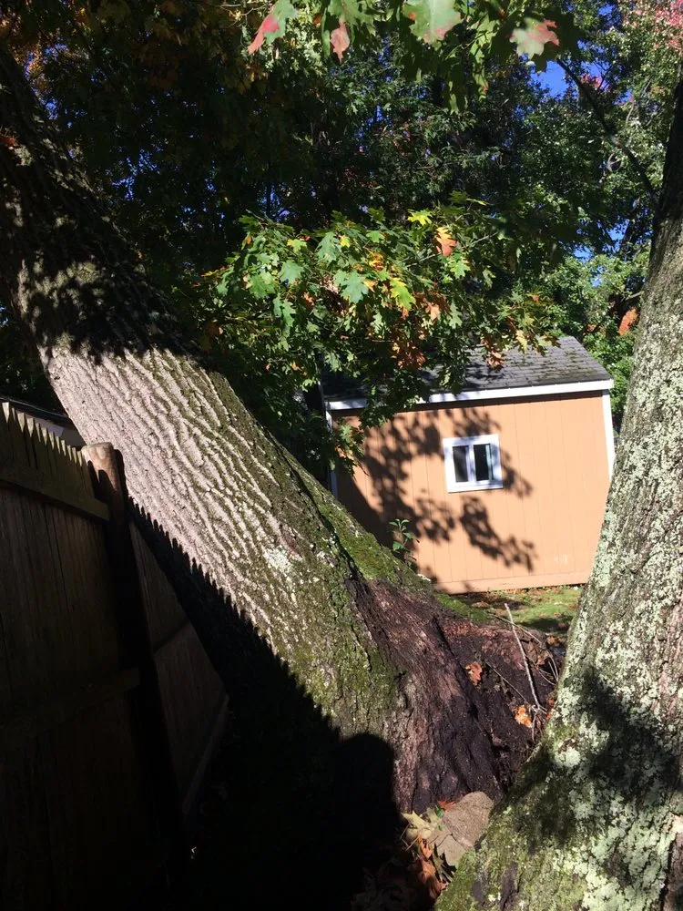 Custom residential landscaping for homes in Walpole, MA by Pathfinder Tree Service