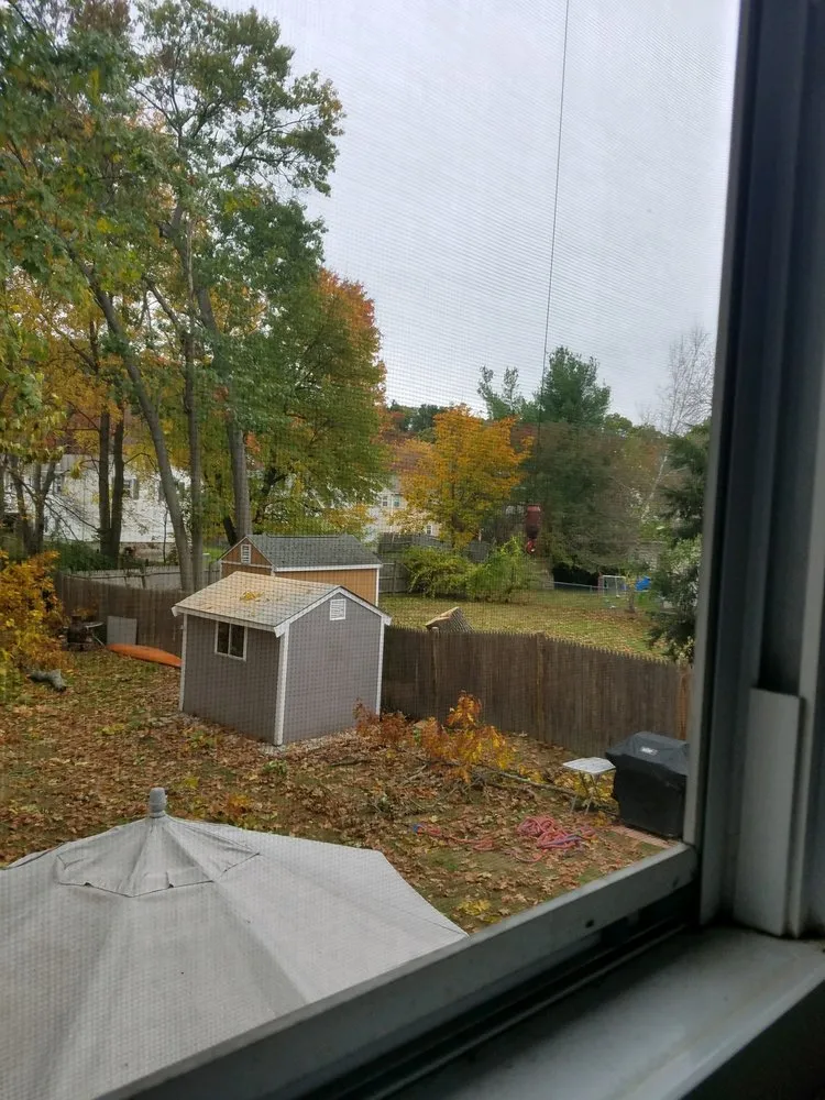 Expert yard maintenance in Walpole, MA - Pathfinder Tree Service