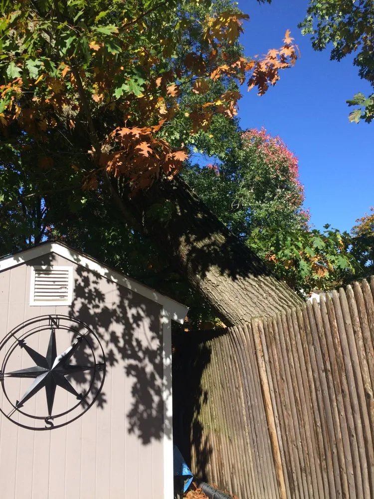 Reliable outdoor landscaping experts serving Walpole, MA - Pathfinder Tree Service