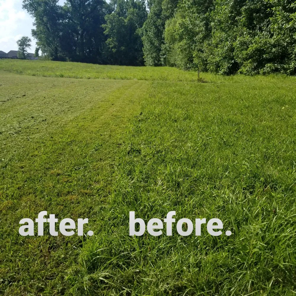 Expert yard cleanup service experts serving Cookeville, TN - Pathway Landscaping