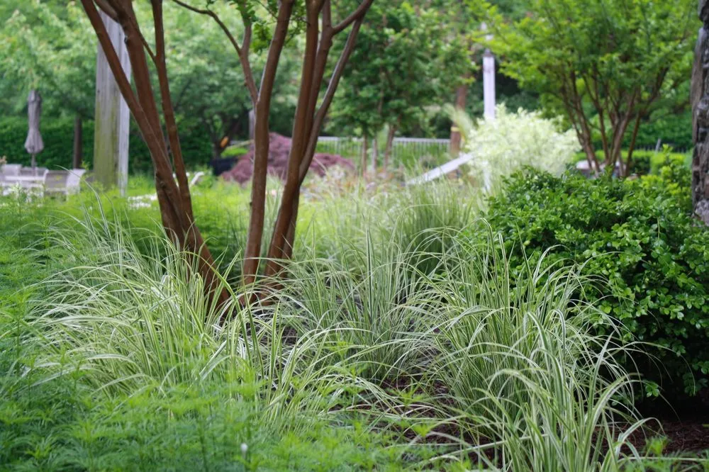 Top-rated landscape installation in Levittown, PA - Patino Landscape Group