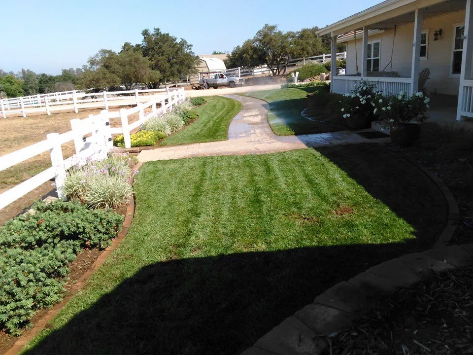 Professional residential landscaping in Ramona, CA by Patino Landscape
