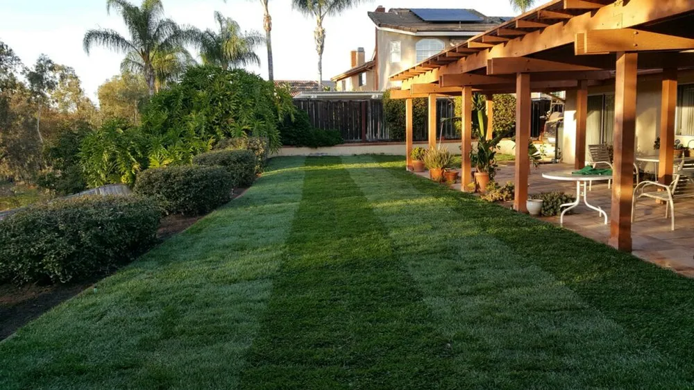 Expert landscape design experts serving Ramona, CA - Patino Landscape