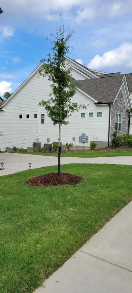 Reliable landscape design in Angier, NC - Patino landscaping