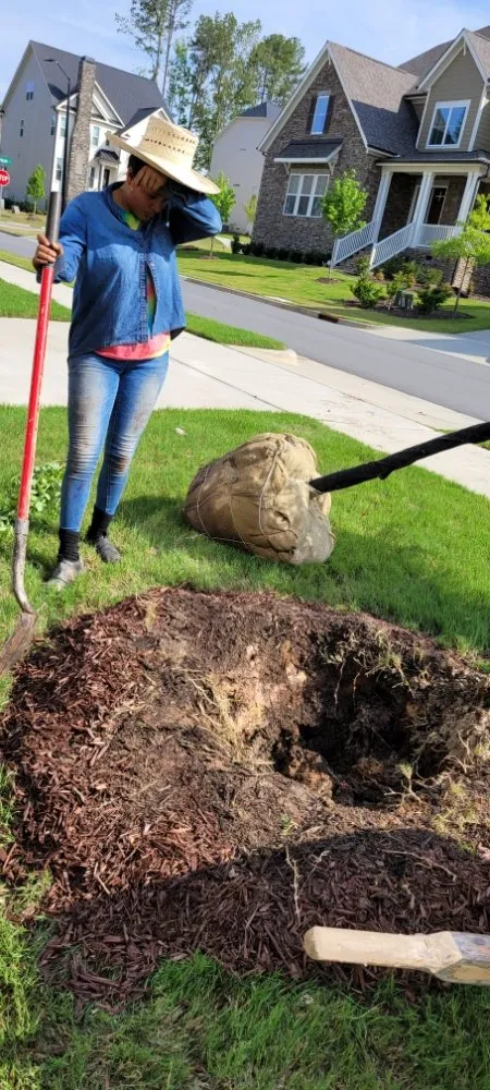 Custom lawn mowing service in Angier, NC - Patino landscaping