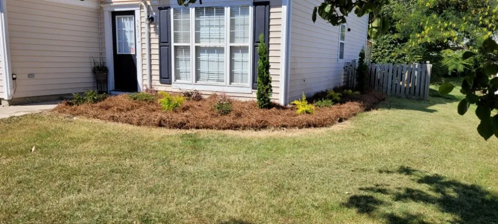 Reliable landscape design in Angier, NC by Patino landscaping
