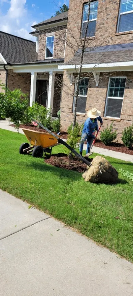 Custom yard cleanup service in Angier, NC - Patino landscaping