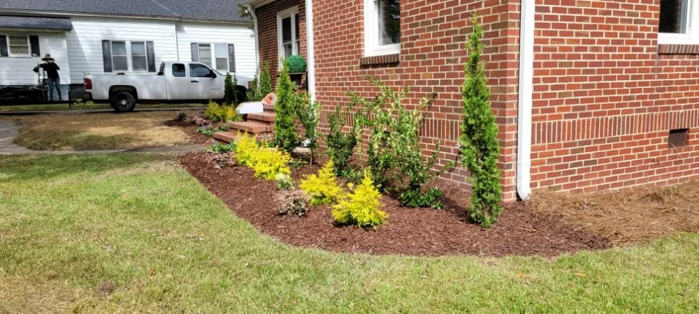 Reliable yard maintenance in Angier, NC by Patino landscaping