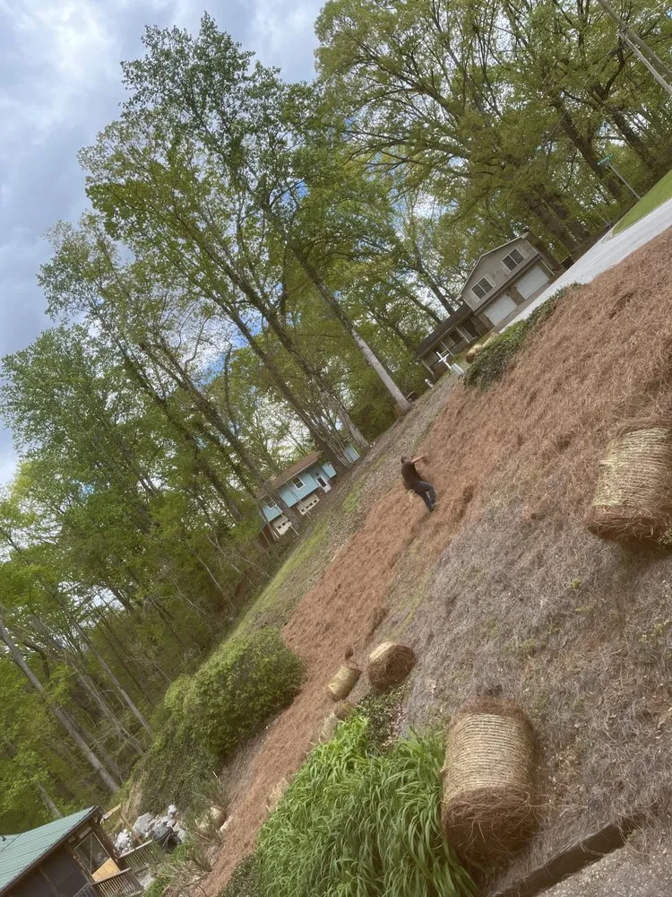 Trusted landscaping services for residential properties in Douglasville, GA by Patino Landscaping