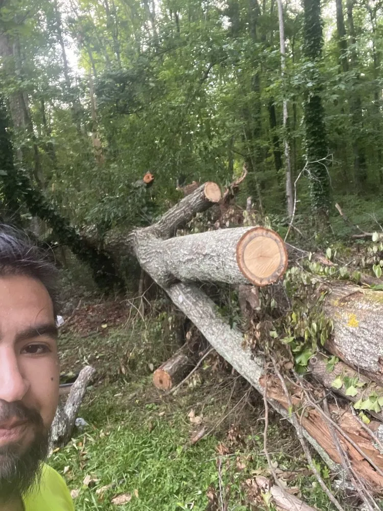 Trusted outdoor landscaping experts serving Douglasville, GA - Patino Landscaping