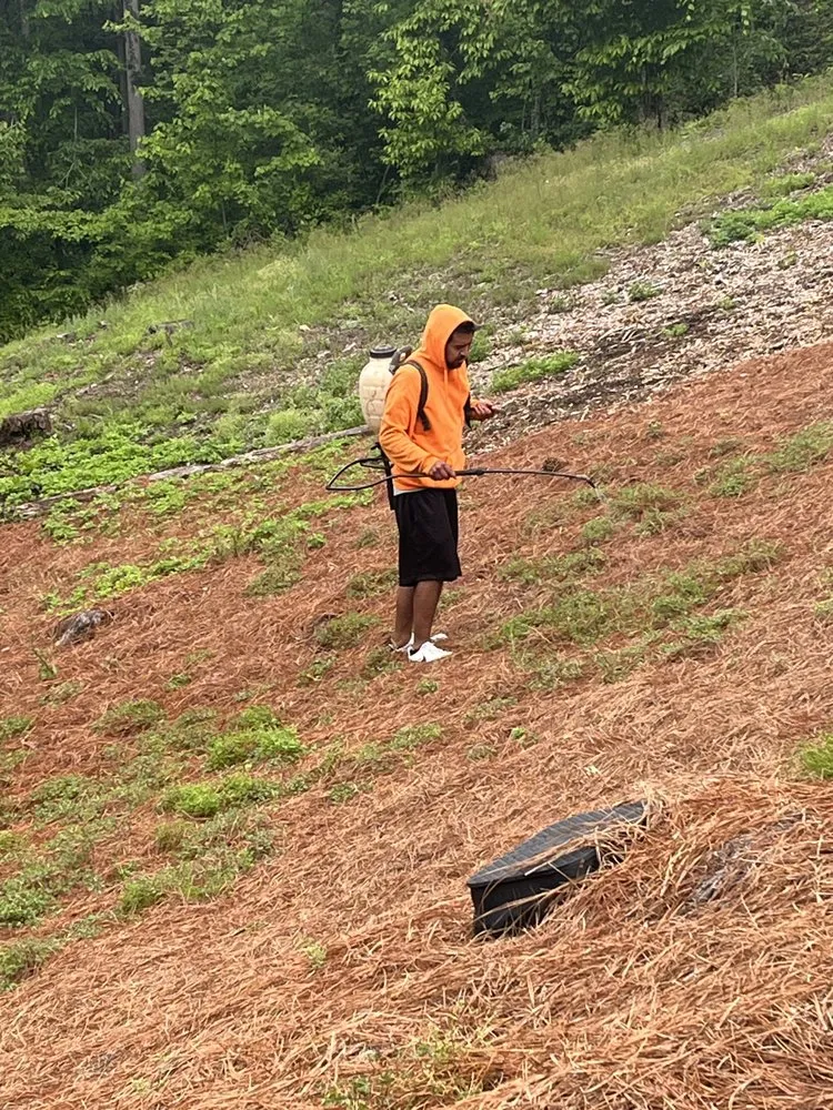 Trusted lawn care service for residential properties across Douglasville, GA - Patino Landscaping