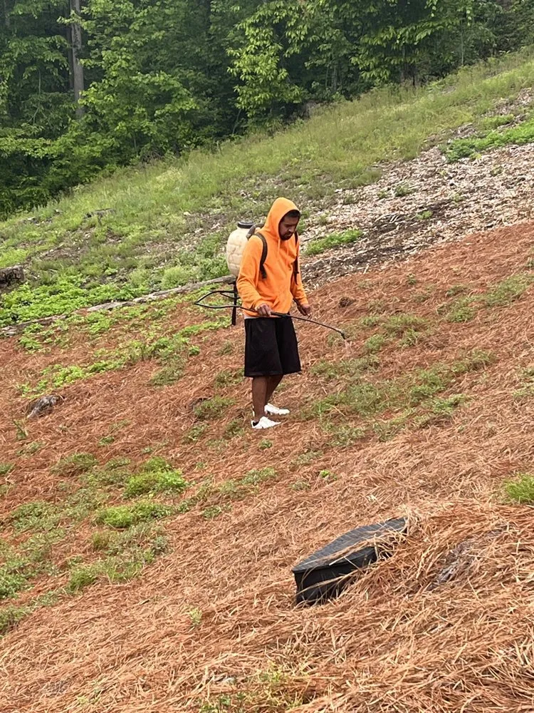 Reliable landscape installation in Douglasville, GA - Patino Landscaping