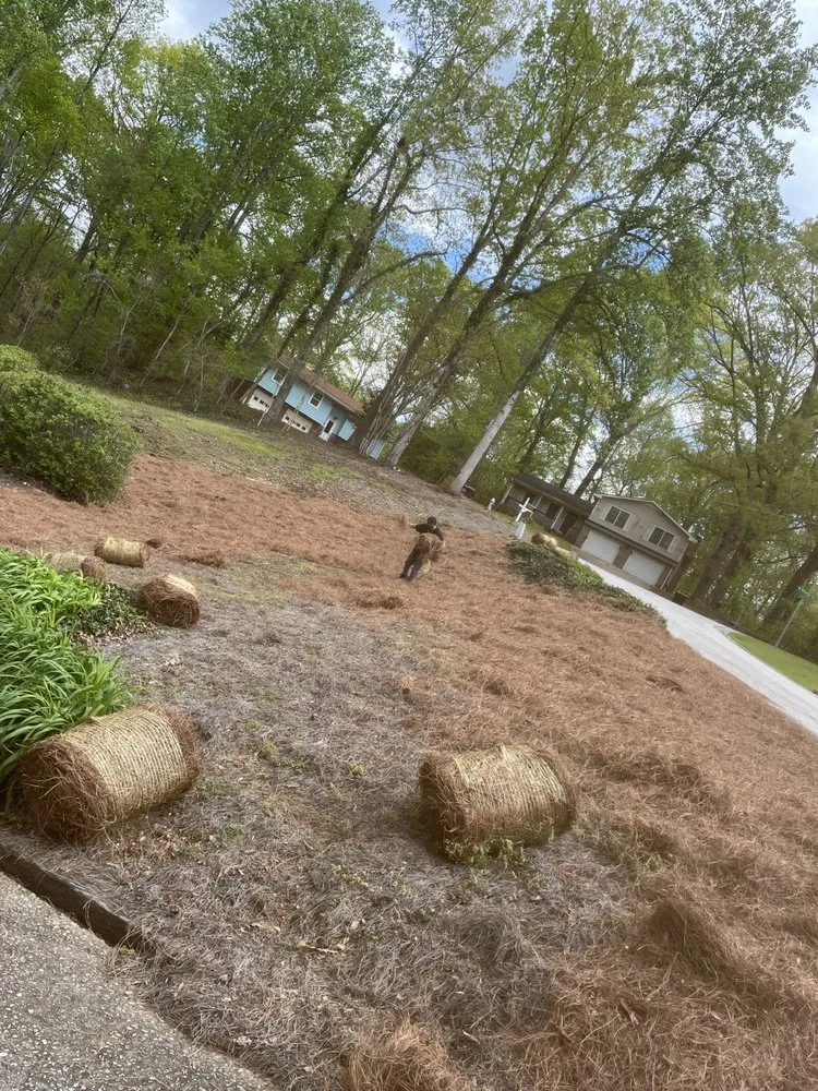 Affordable lawn care service experts serving Douglasville, GA - Patino Landscaping
