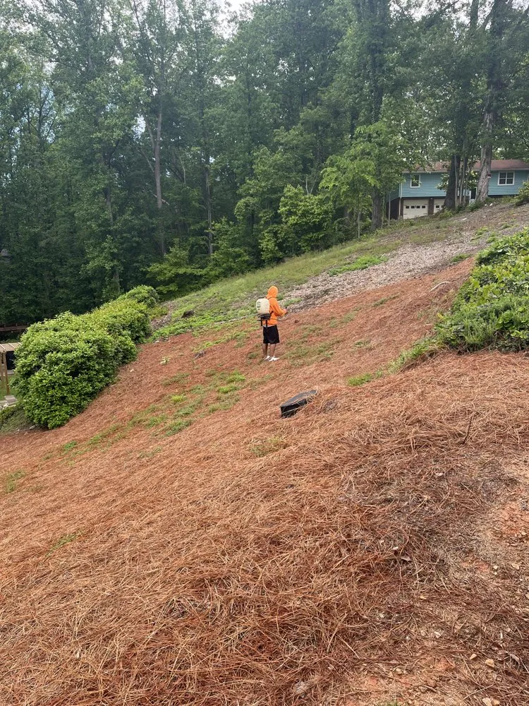 Top-rated lawn mowing service experts serving Douglasville, GA - Patino Landscaping