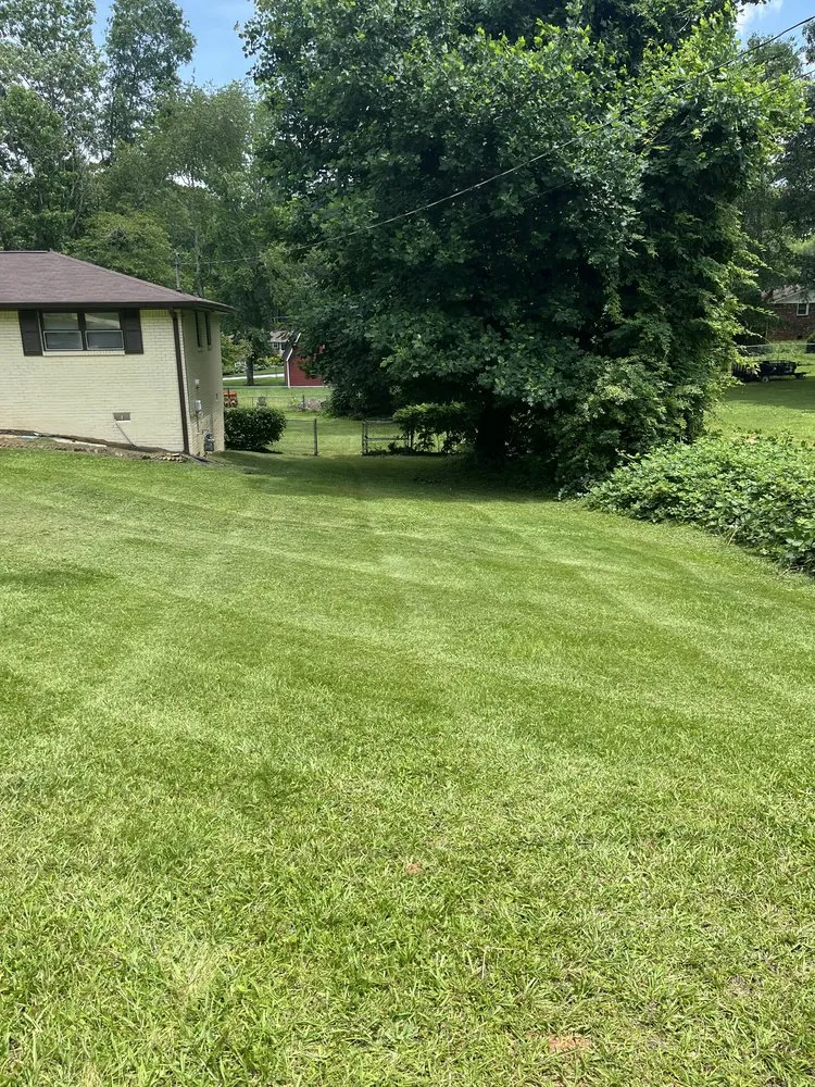 Trusted landscape design in Douglasville, GA - Patino Landscaping