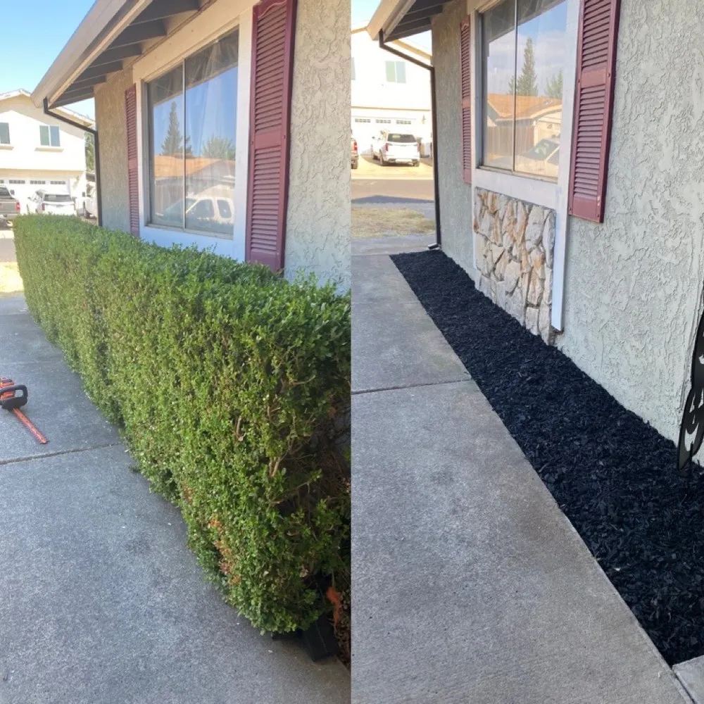 Affordable residential landscaping near you across Roseville, CA - Patino landscaping