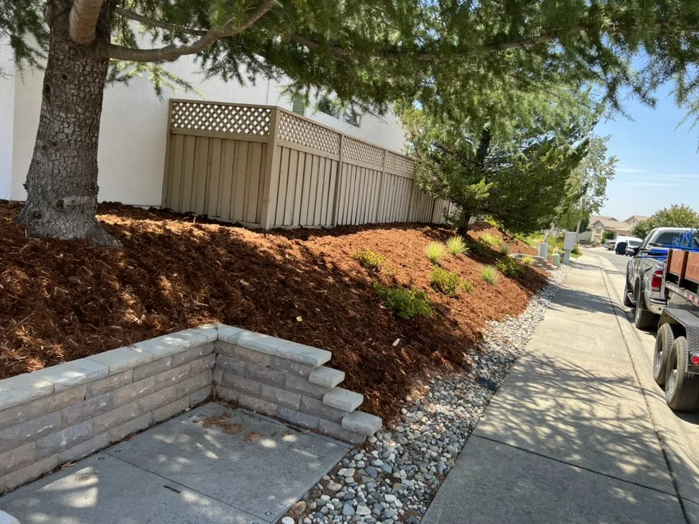 Expert residential landscaping experts serving Roseville, CA - Patino landscaping
