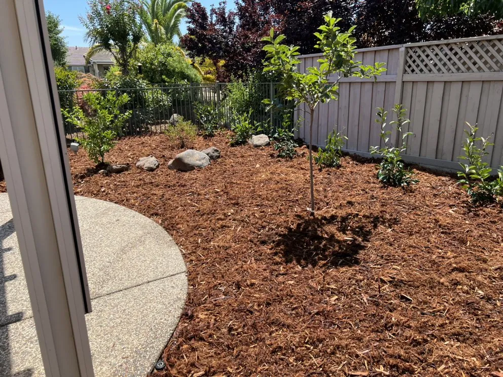 Reliable outdoor landscaping for outdoor upgrades across Roseville, CA - Patino landscaping