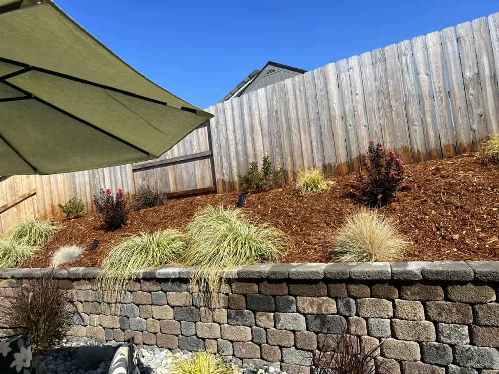 Reliable yard cleanup service for outdoor upgrades across Roseville, CA - Patino landscaping