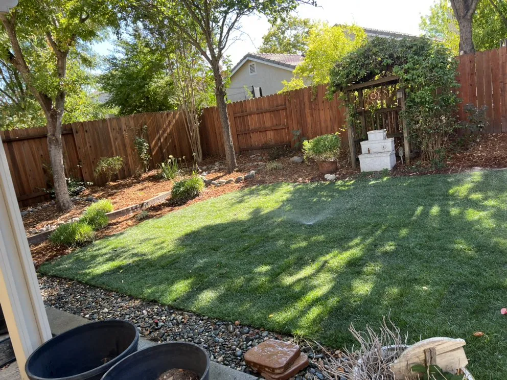 Top-rated yard maintenance experts serving Roseville, CA - Patino landscaping