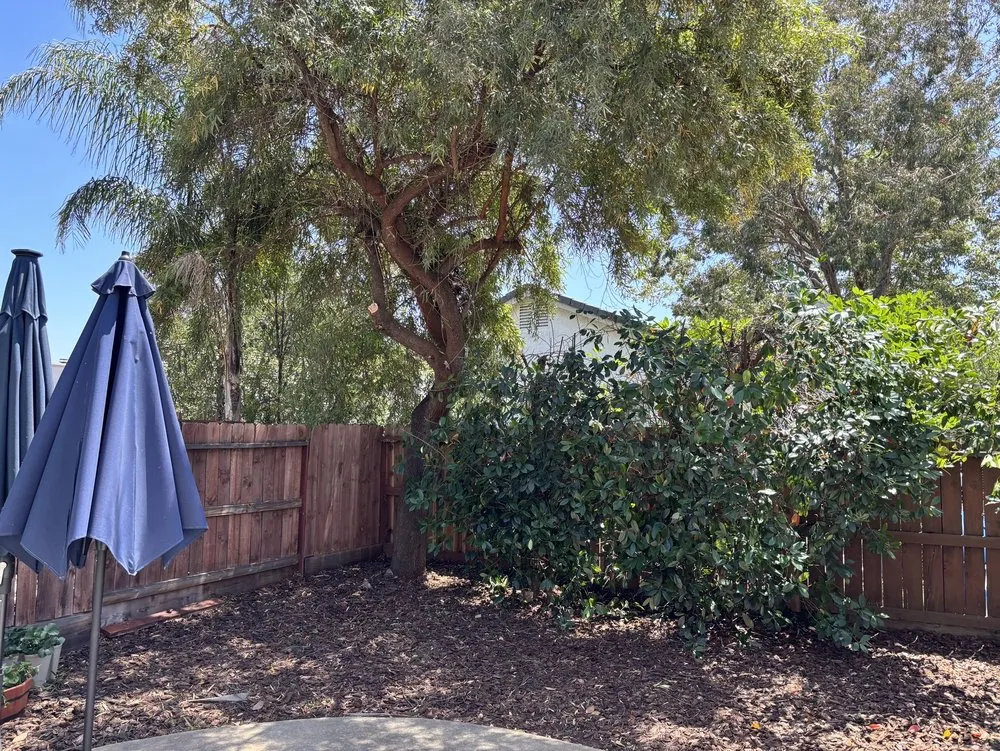 Custom lawn mowing service for beautiful yards across Roseville, CA - Patino landscaping