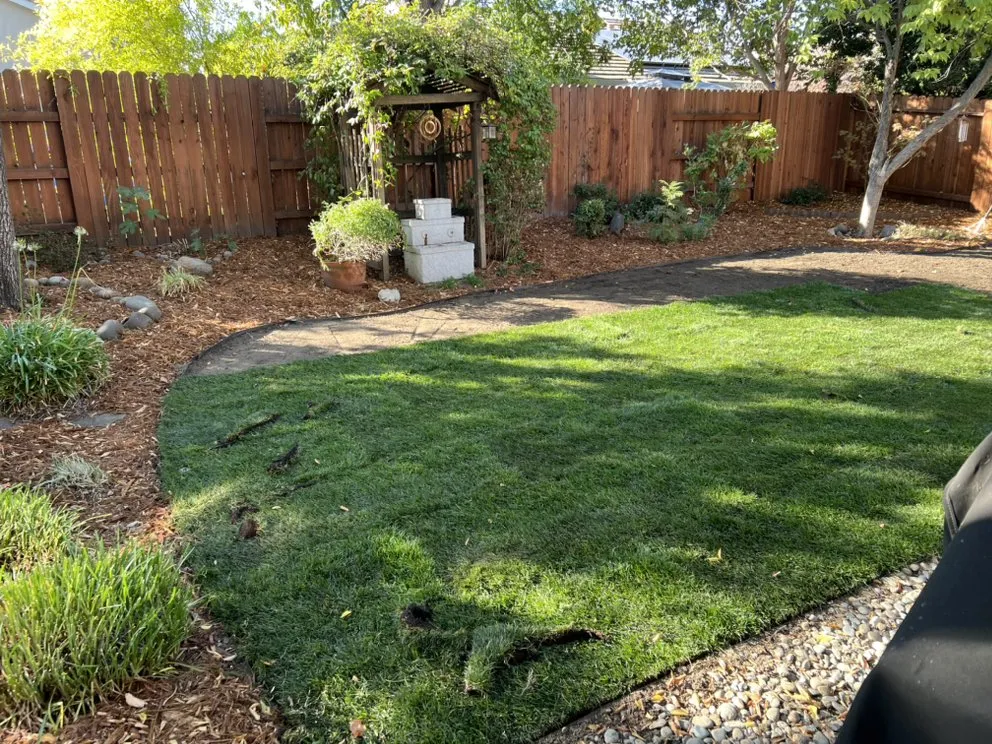 Professional landscape design experts serving Roseville, CA - Patino landscaping