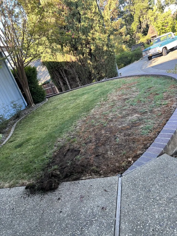 Reliable outdoor landscaping for residential properties across Roseville, CA - Patino landscaping