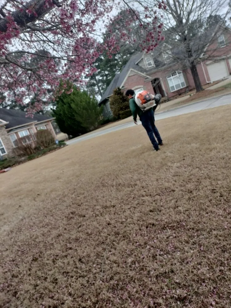 Local outdoor landscaping in Douglasville, GA - Patino Landscaping Services