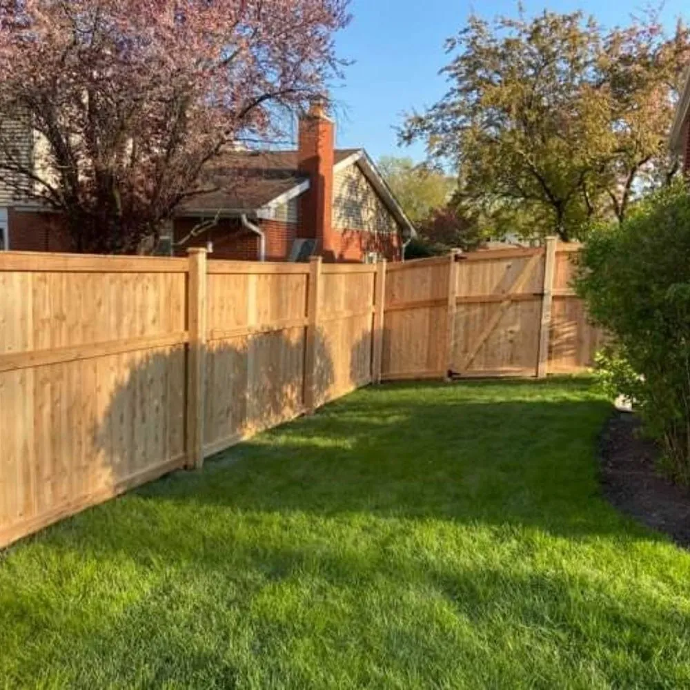 Professional yard cleanup service in Springdale, AR by Patino Landscaping