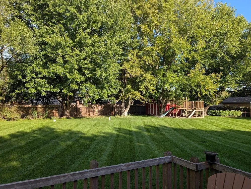Local yard maintenance in Joliet, IL by Patino's Lawn Services