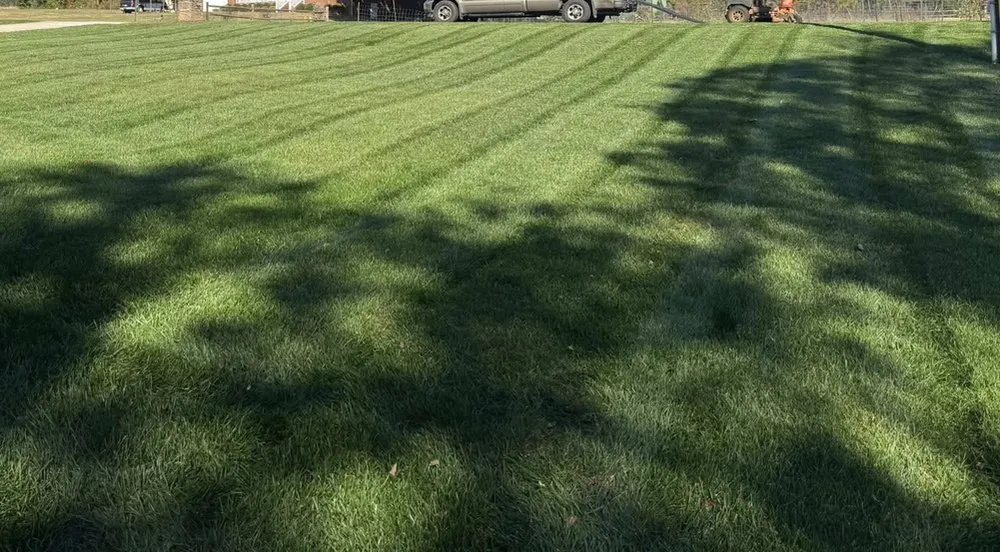 Top-rated lawn mowing service in Joliet, IL - Patino's Lawn Services