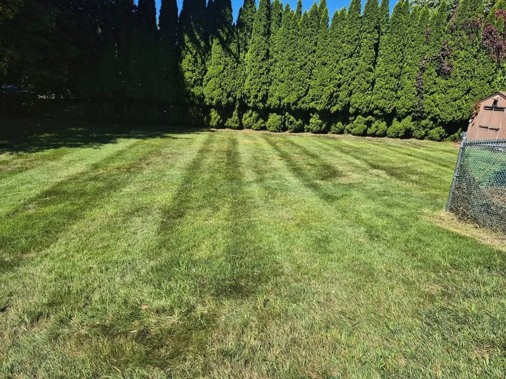 Top-rated landscaping services in Joliet, IL by Patino's Lawn Services