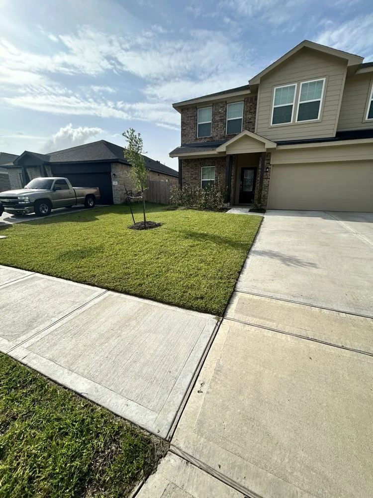 Professional landscape design with custom design in Crosby, TX by Patio King Landscaping Service