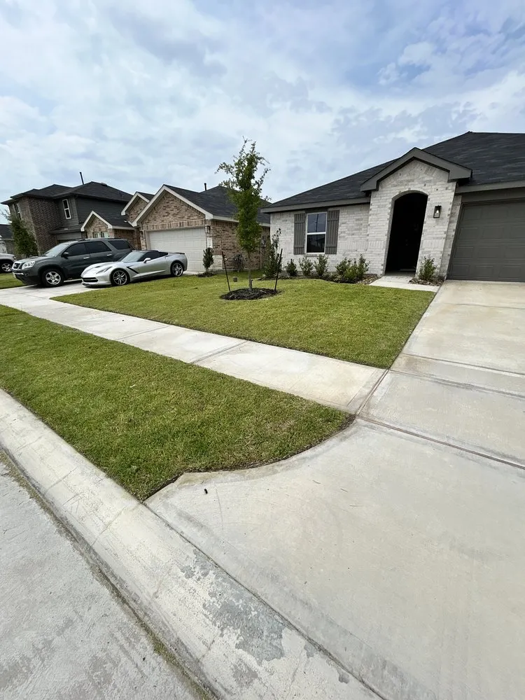 Expert yard cleanup service in Crosby, TX by Patio King Landscaping Service